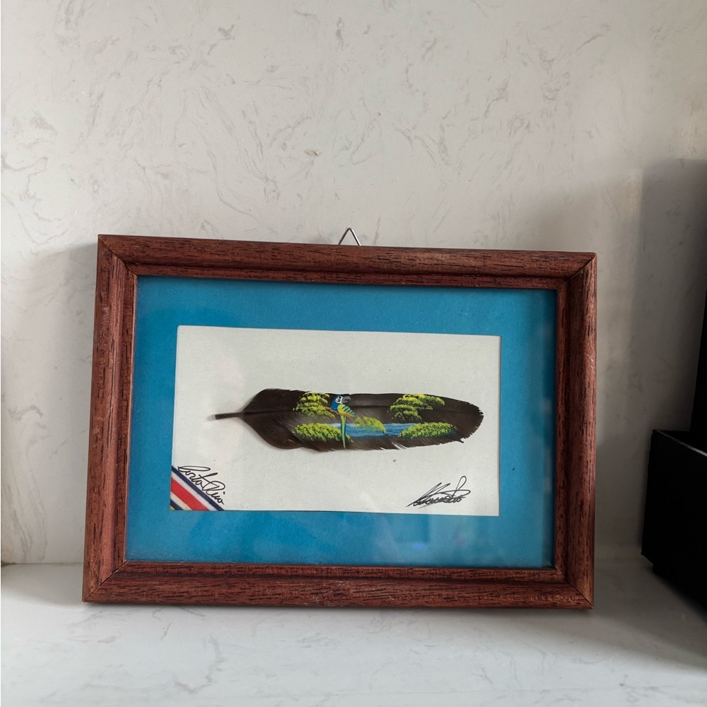 Framed Feather Art with Bird and Landscape Painting From Costa Rica Signed